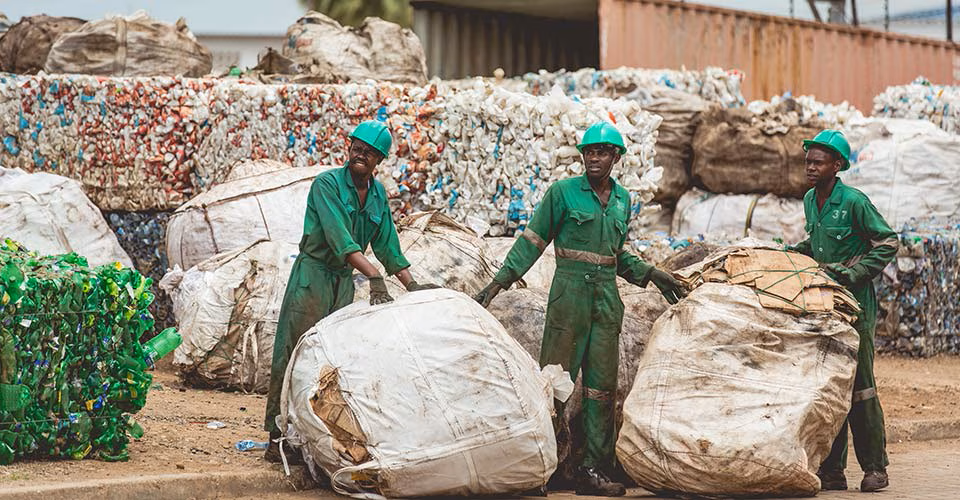 Waste Picker Incentive System